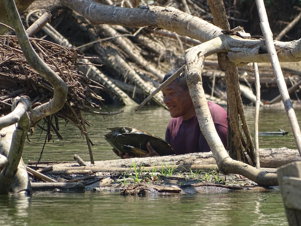 Imagen representativa